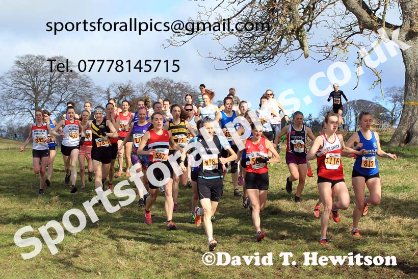 Senior womens 2022 Start Fitness NEHL, Alnwick, Northumberland. Photo: David T. Hewitson/Sports for All Pics